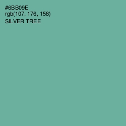 #6BB09E - Silver Tree Color Image