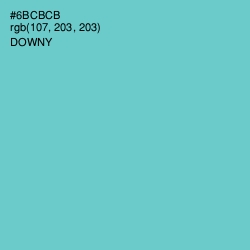 #6BCBCB - Downy Color Image