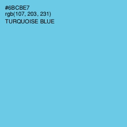 #6BCBE7 - Turquoise Blue Color Image