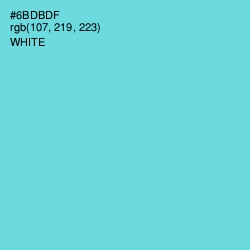#6BDBDF - Viking Color Image