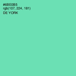 #6BE0B5 - De York Color Image