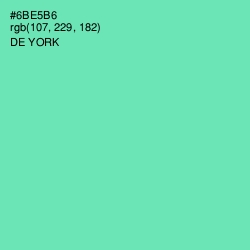 #6BE5B6 - De York Color Image