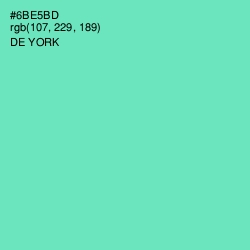 #6BE5BD - De York Color Image