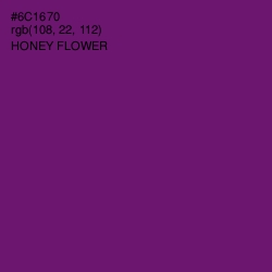 #6C1670 - Honey Flower Color Image