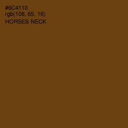 #6C4110 - Horses Neck Color Image