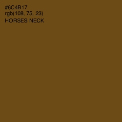 #6C4B17 - Horses Neck Color Image