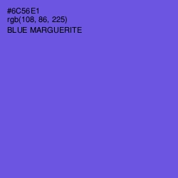 #6C56E1 - Blue Marguerite Color Image