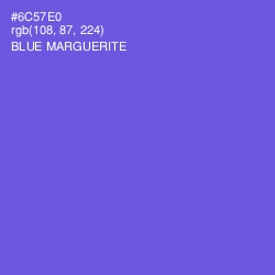 #6C57E0 - Blue Marguerite Color Image