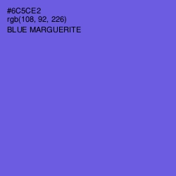 #6C5CE2 - Blue Marguerite Color Image