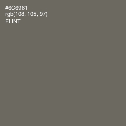 #6C6961 - Flint Color Image
