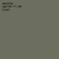 #6C6F60 - Flint Color Image