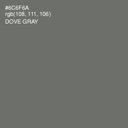 #6C6F6A - Dove Gray Color Image