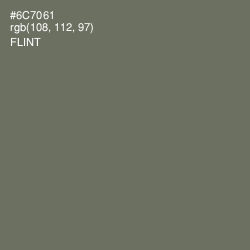 #6C7061 - Flint Color Image