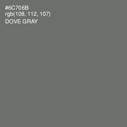 #6C706B - Dove Gray Color Image