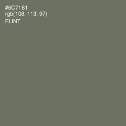 #6C7161 - Flint Color Image