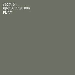 #6C7164 - Flint Color Image