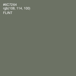 #6C7264 - Flint Color Image