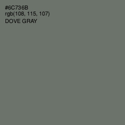 #6C736B - Dove Gray Color Image