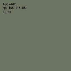 #6C7462 - Flint Color Image