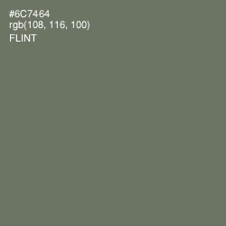 #6C7464 - Flint Color Image