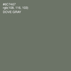 #6C7467 - Dove Gray Color Image