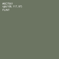 #6C7561 - Flint Color Image