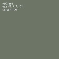 #6C7566 - Dove Gray Color Image