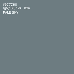 #6C7C80 - Pale Sky Color Image