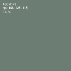 #6C7D73 - Tapa Color Image