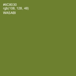 #6C8030 - Wasabi Color Image