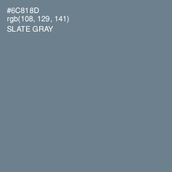 #6C818D - Slate Gray Color Image