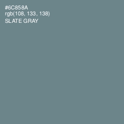 #6C858A - Slate Gray Color Image