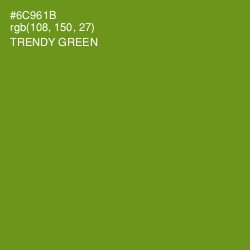 #6C961B - Trendy Green Color Image