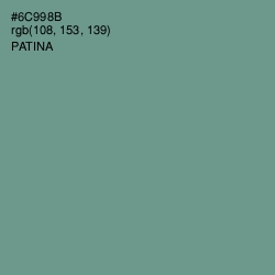 #6C998B - Patina Color Image