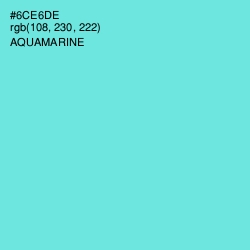 #6CE6DE - Aquamarine Color Image