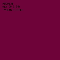 #6D0338 - Tyrian Purple Color Image