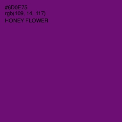 #6D0E75 - Honey Flower Color Image