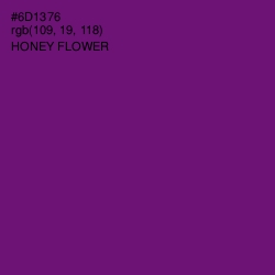 #6D1376 - Honey Flower Color Image