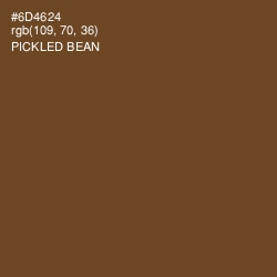 #6D4624 - Pickled Bean Color Image