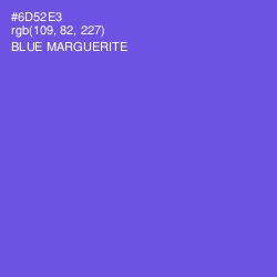 #6D52E3 - Blue Marguerite Color Image