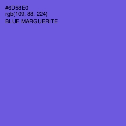 #6D58E0 - Blue Marguerite Color Image