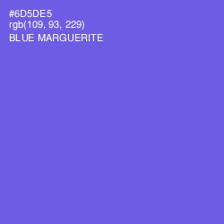 #6D5DE5 - Blue Marguerite Color Image
