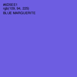 #6D5EE1 - Blue Marguerite Color Image