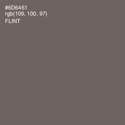 #6D6461 - Flint Color Image