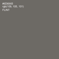 #6D6965 - Flint Color Image