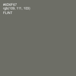 #6D6F67 - Flint Color Image