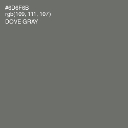 #6D6F6B - Dove Gray Color Image