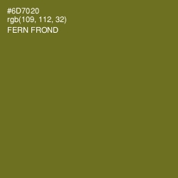 #6D7020 - Fern Frond Color Image