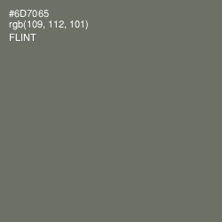 #6D7065 - Flint Color Image