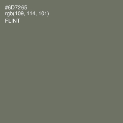 #6D7265 - Flint Color Image